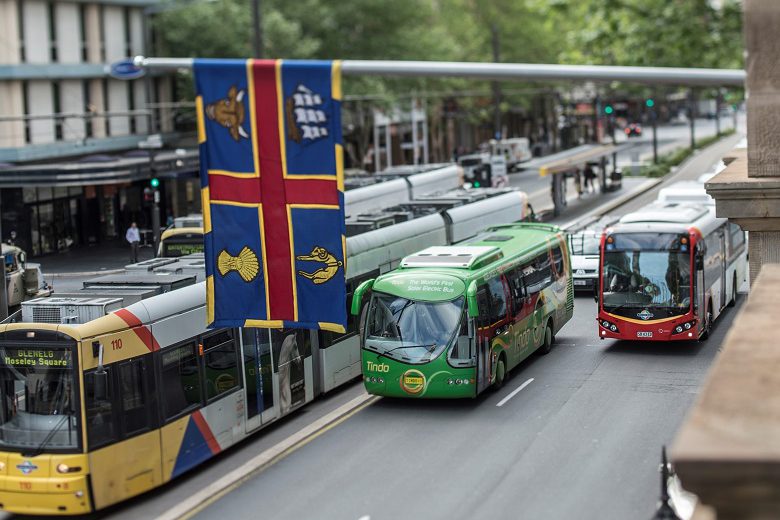 Councils can lead on sustainable transport: report