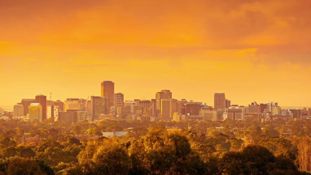 Media release: Adelaide heatwave plan a hot ticket, says climate alliance