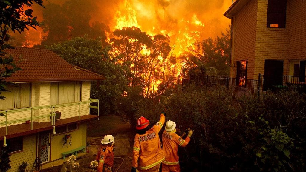 Climate change bushfire risk: 60 councils attend forum