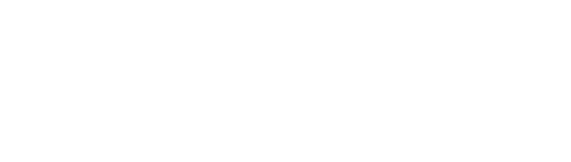 Wyndham logo reversed